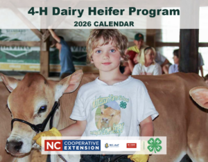Cover photo for 4-H Dairy Heifer Program Calendar Fundraiser
